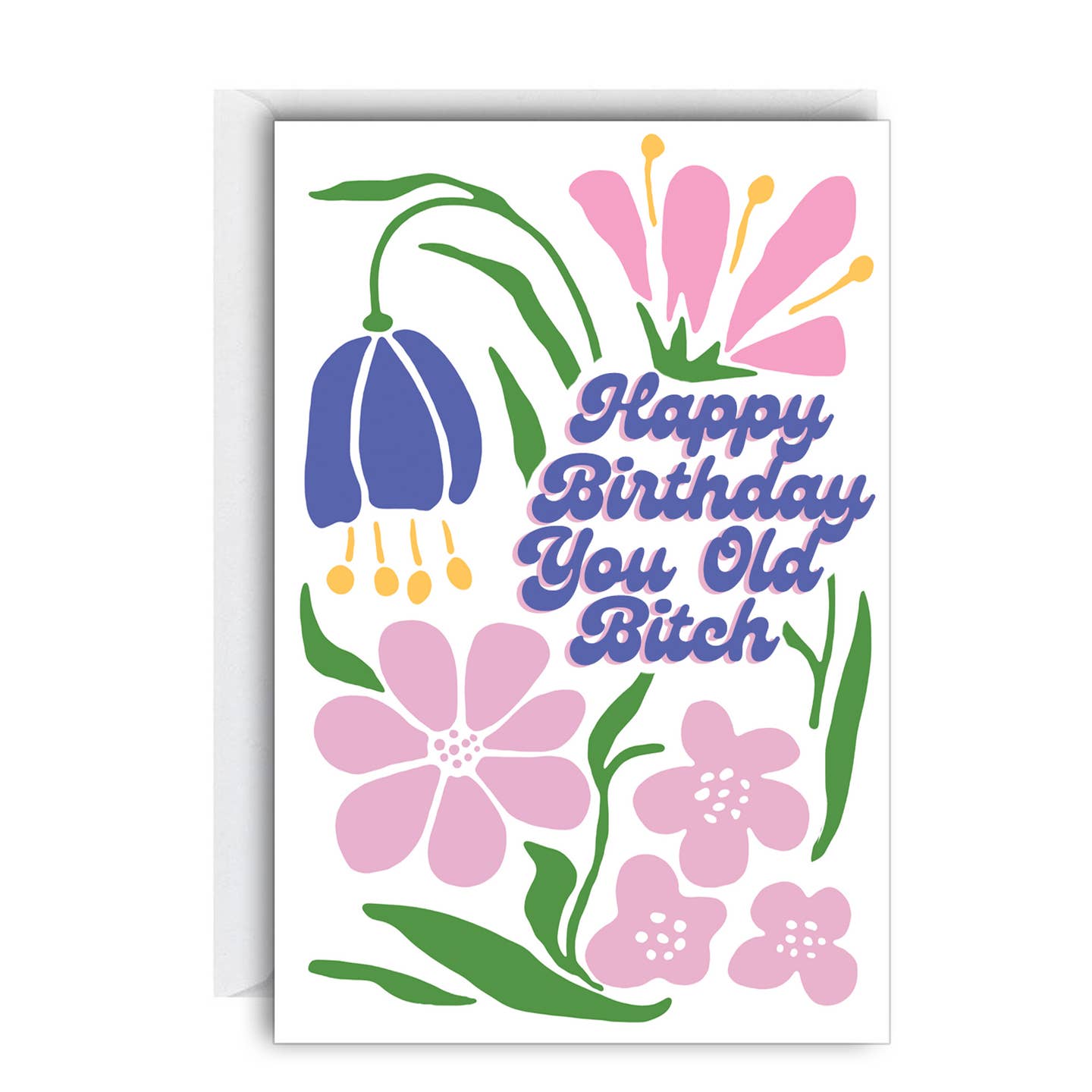 Happy Birthday You Old Bitch Greeting Card