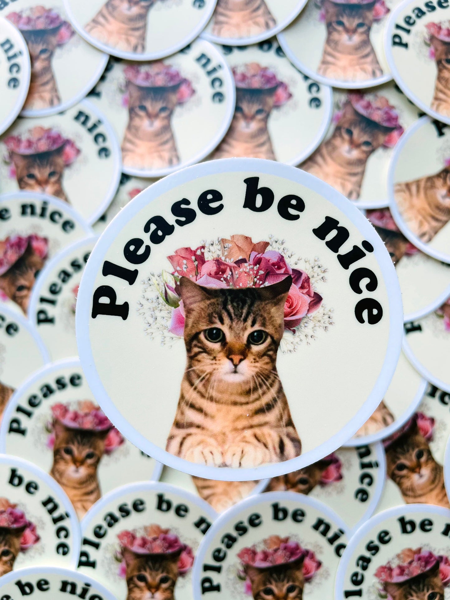 Please Be Nice Sticker