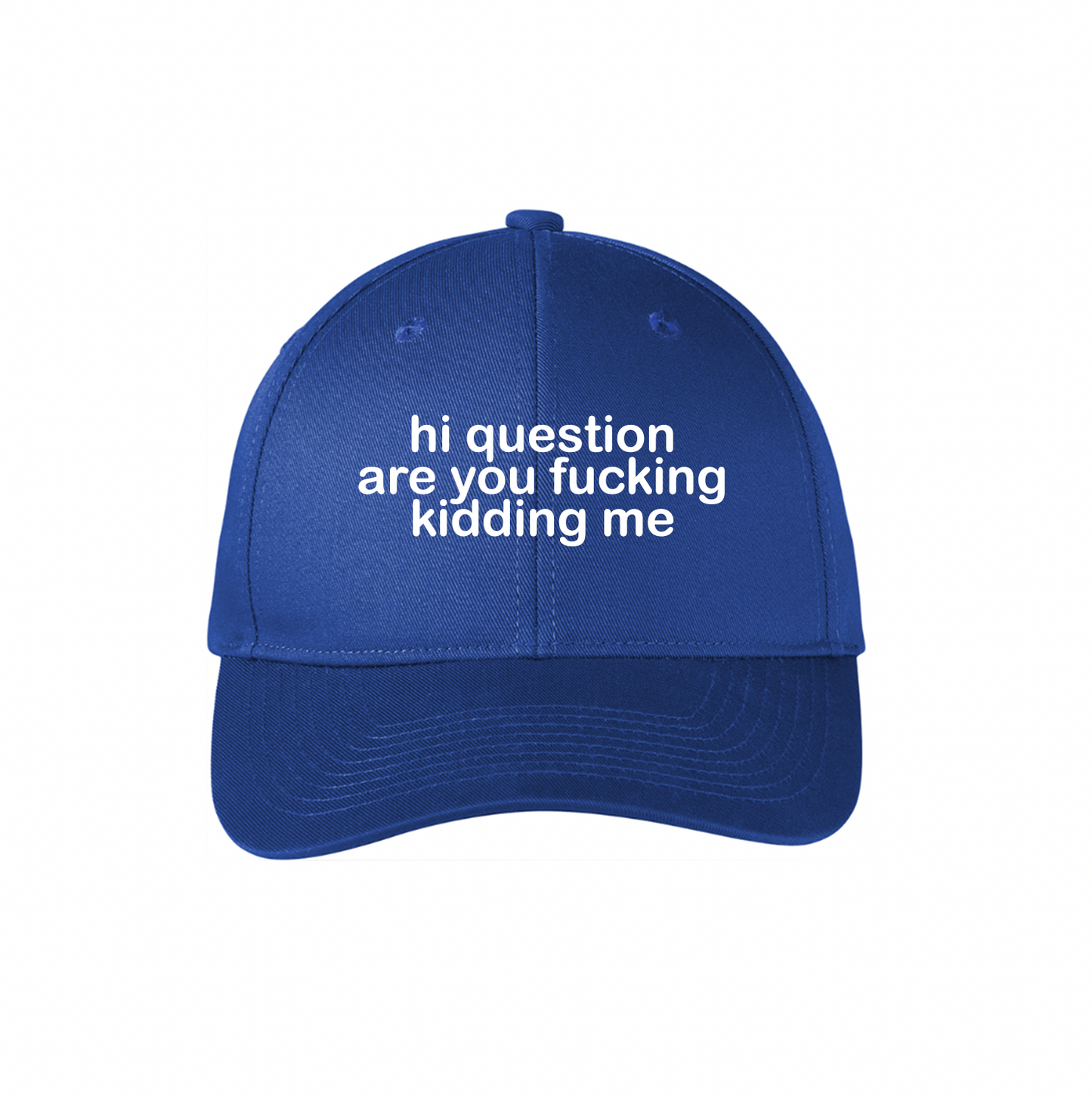 Hi Question Are You F*cking Kidding Me Hat
