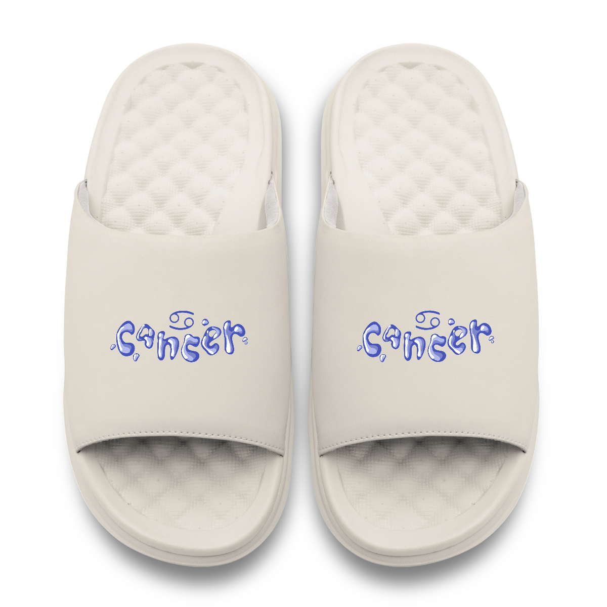 Cancer Zodiac Slides
