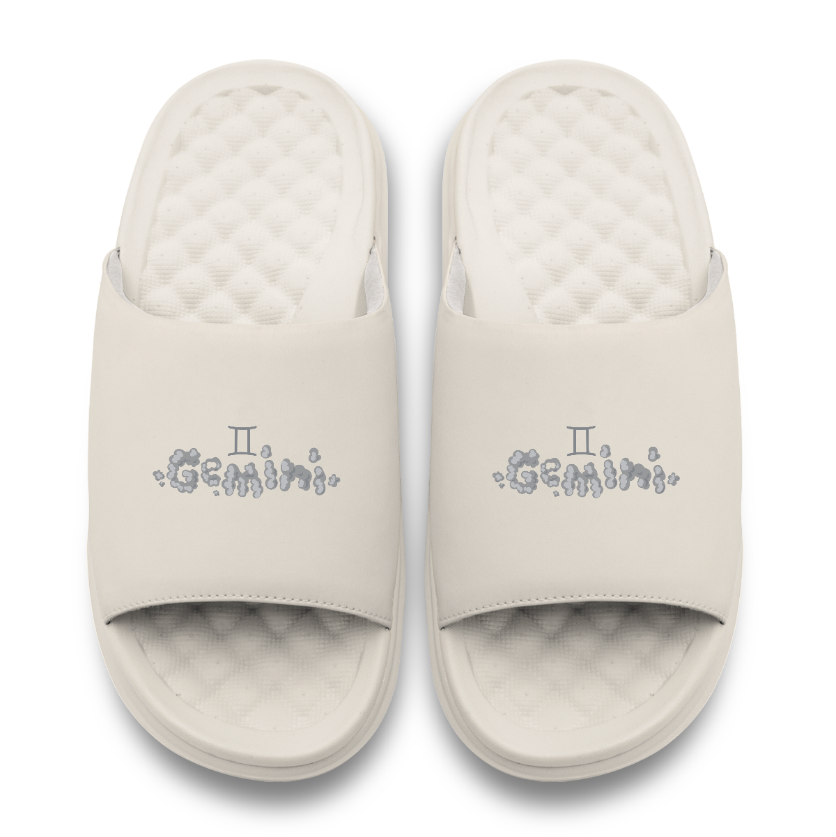 Gemini Zodiac Slides