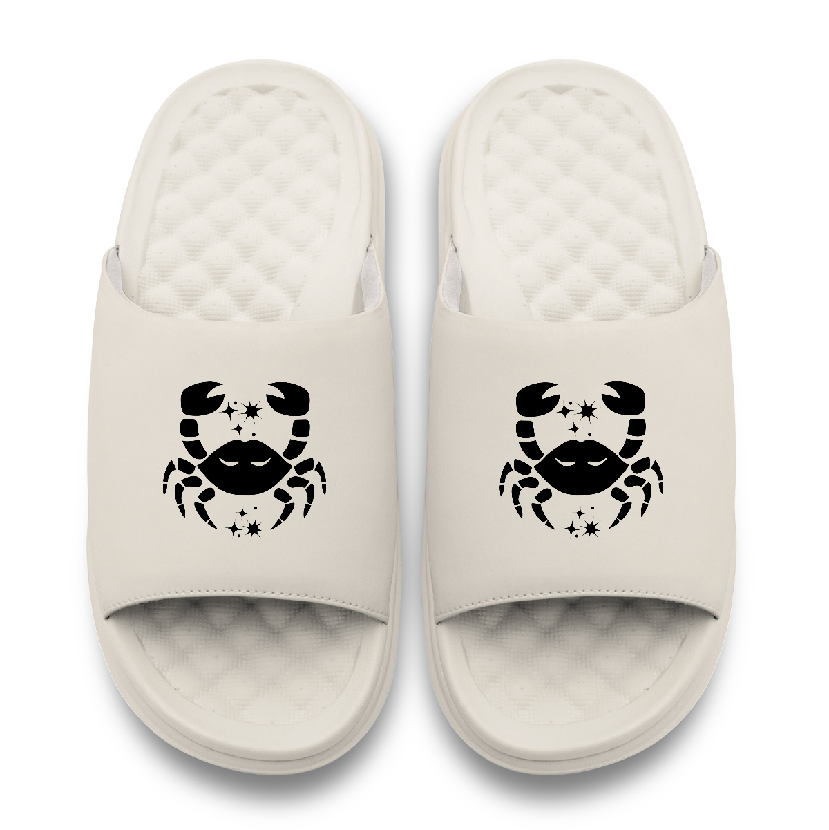 Cancer Zodiac Slides