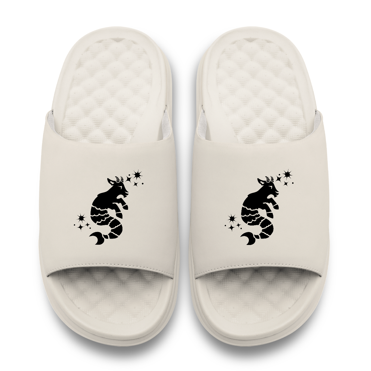 Capricorn Zodiac Slides