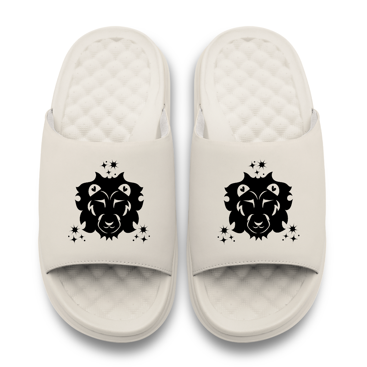 Leo Zodiac Slides