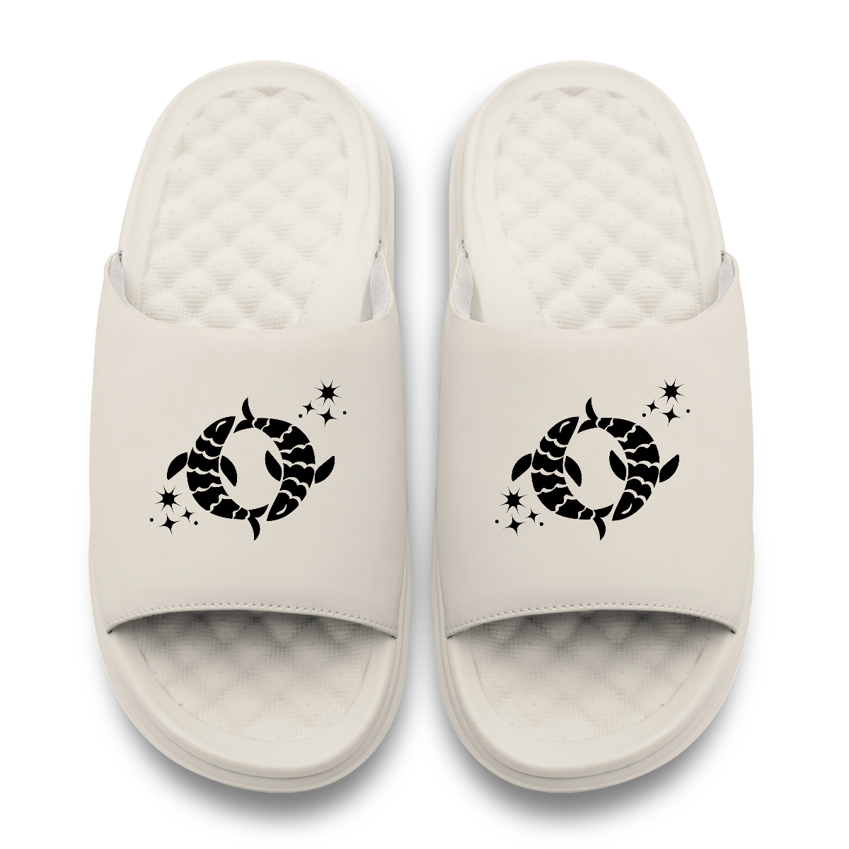 Pisces Zodiac Slides