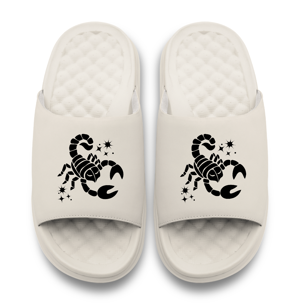 Scorpio Zodiac Slides