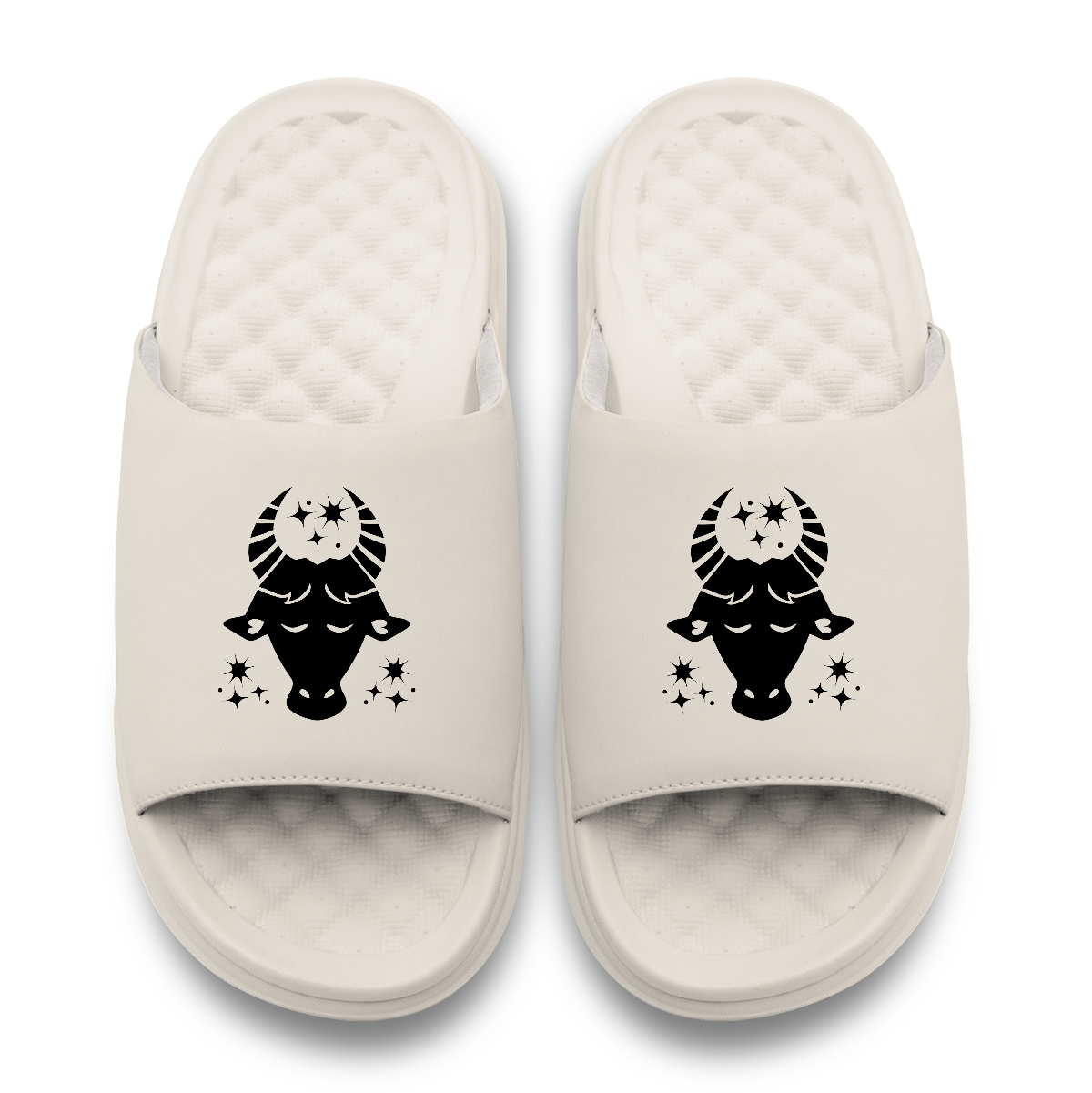 Taurus Zodiac Slides