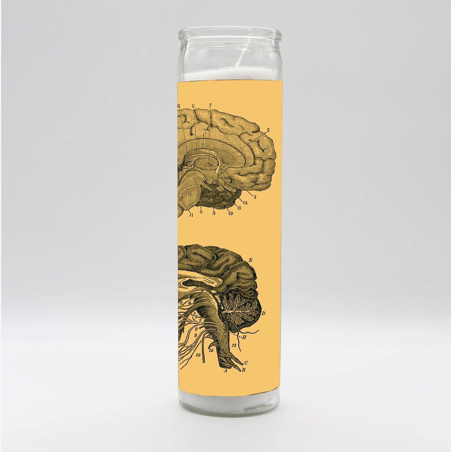 Saint Anatomy Brain Candle
