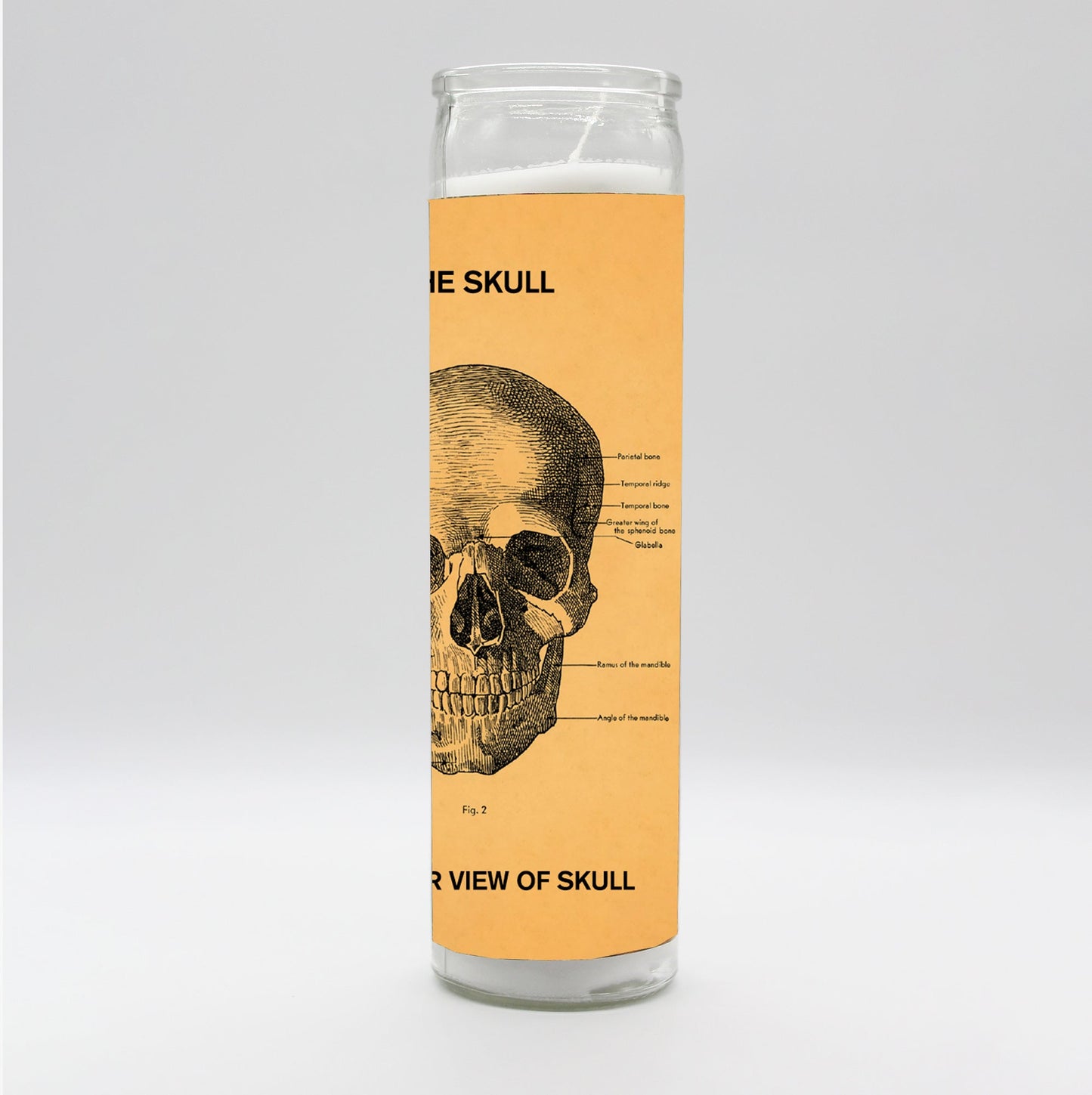 Saint Anatomy Skull Candle
