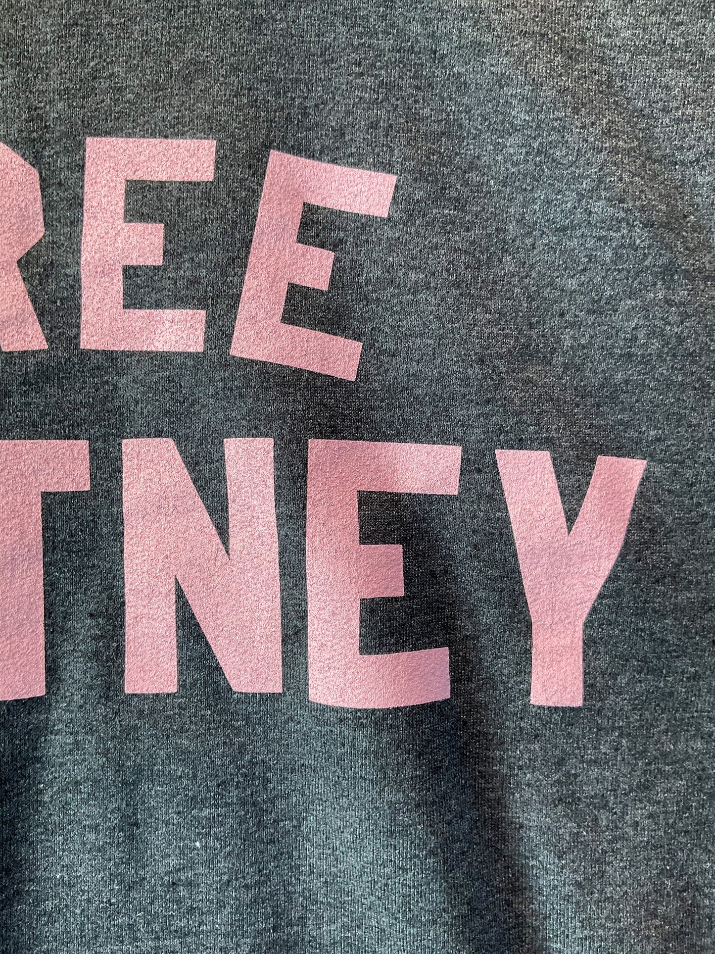 Free Britney Hoodie
