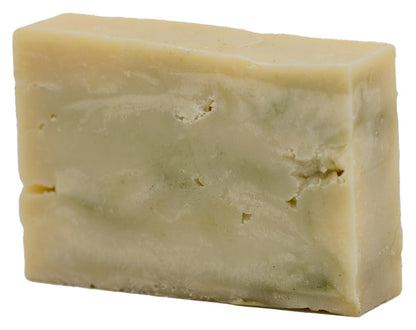 Sun & Shade Conditioning Shampoo