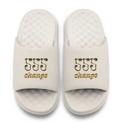 555 Angel Number Slides
