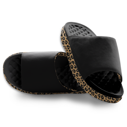 The Motive Slides