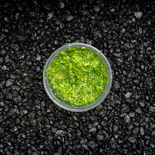 Duckweed