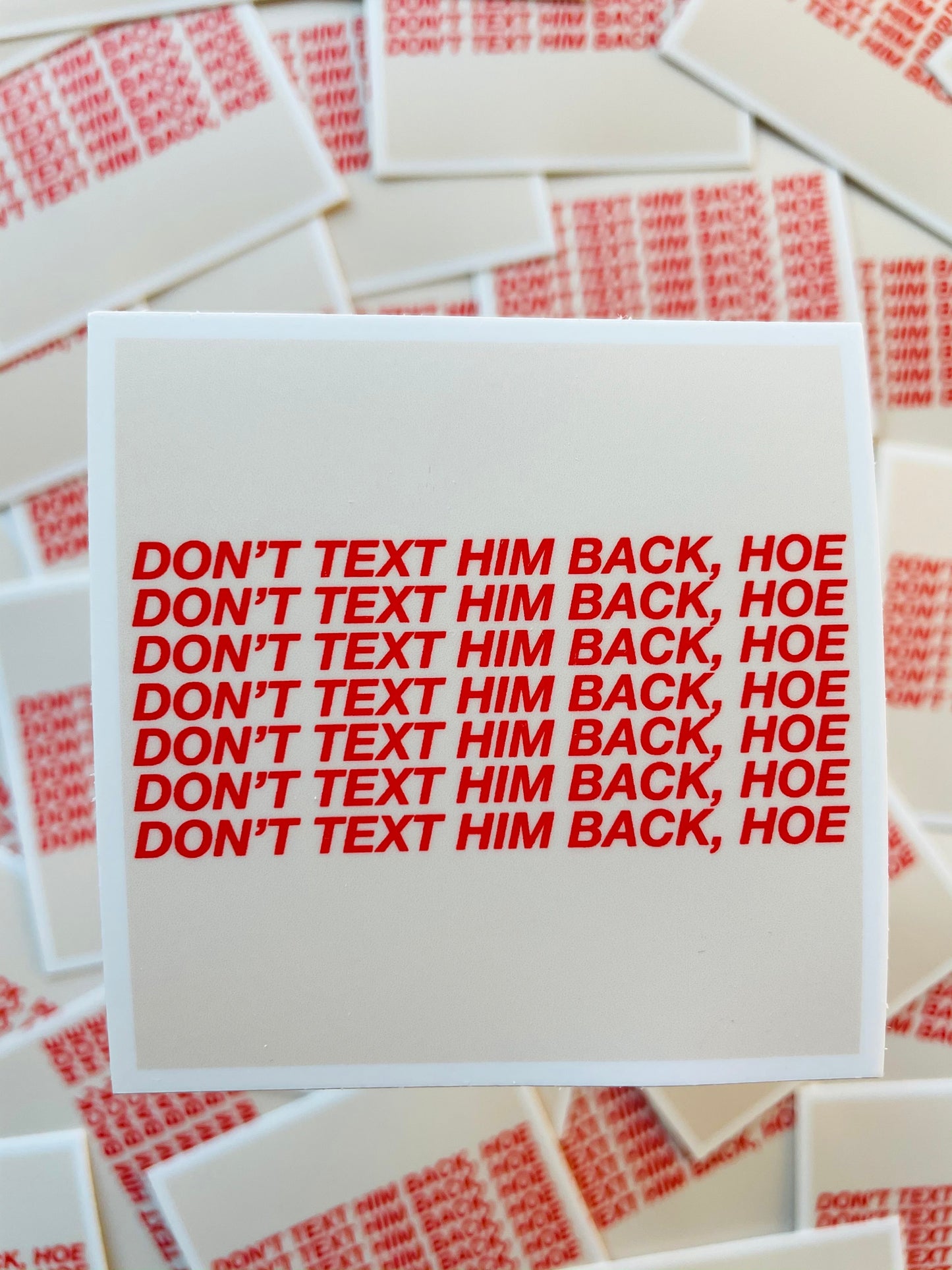 Don't Text Him Back Hoe Sticker