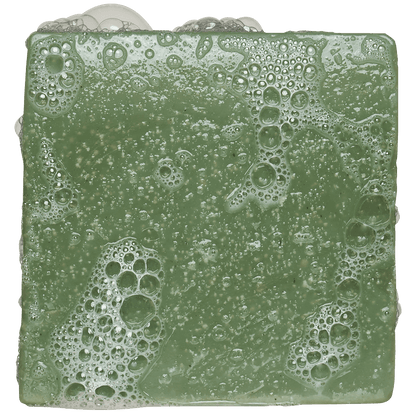 Rainforest Rapids Bar Soap