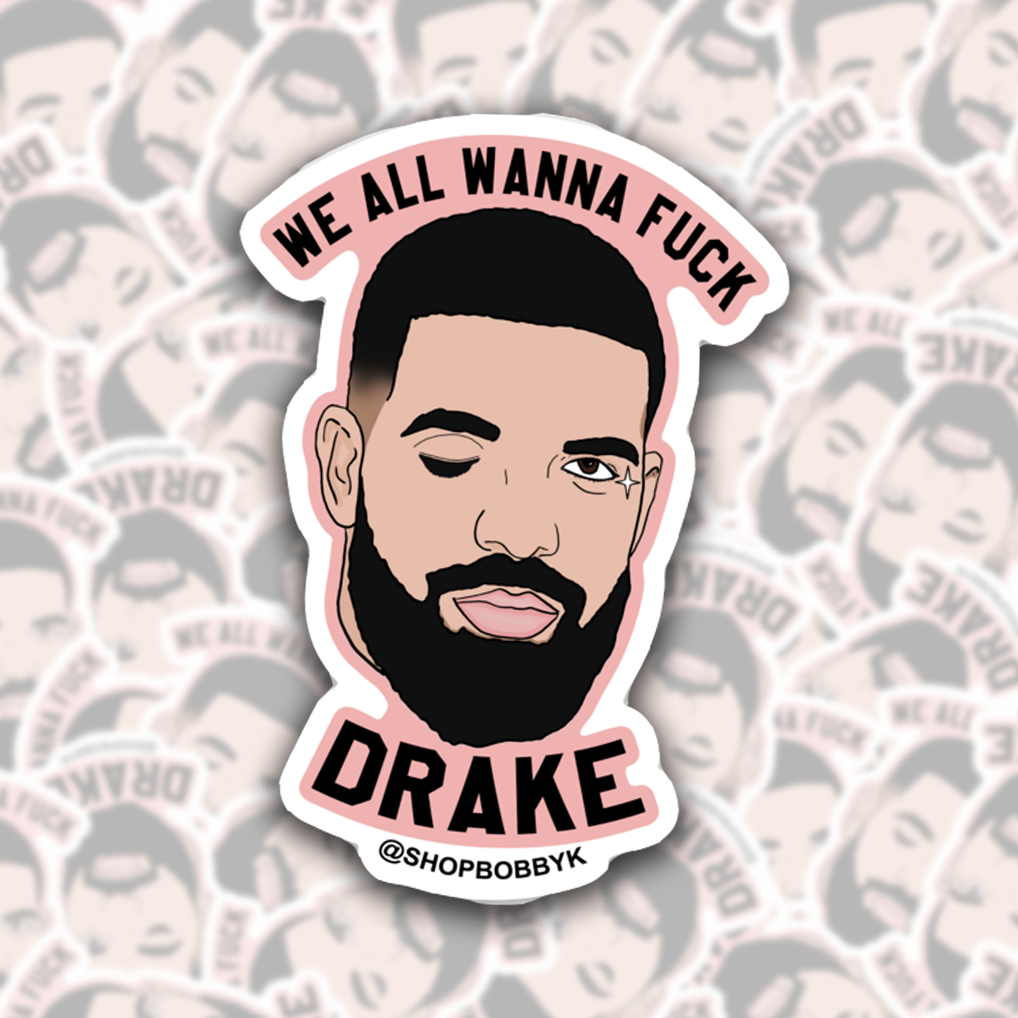 We All Wanna F*ck Drake Sticker