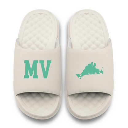 Martha's Vinyard Island Slides