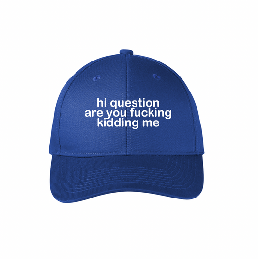 Hi Question Are You F*cking Kidding Me Hat