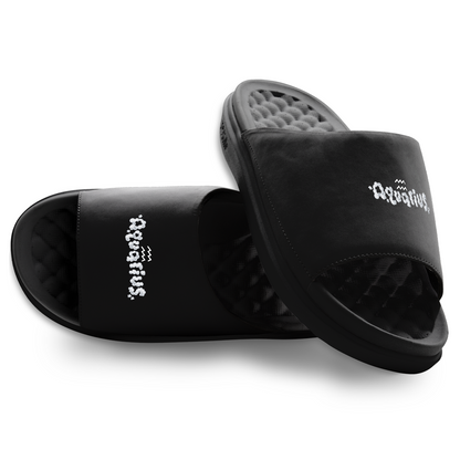 Aquarius Zodiac Slides