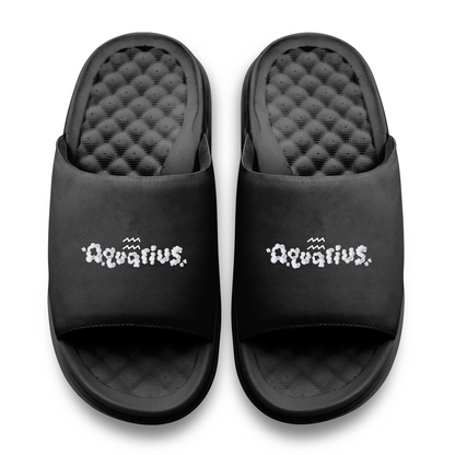 Aquarius Zodiac Slides