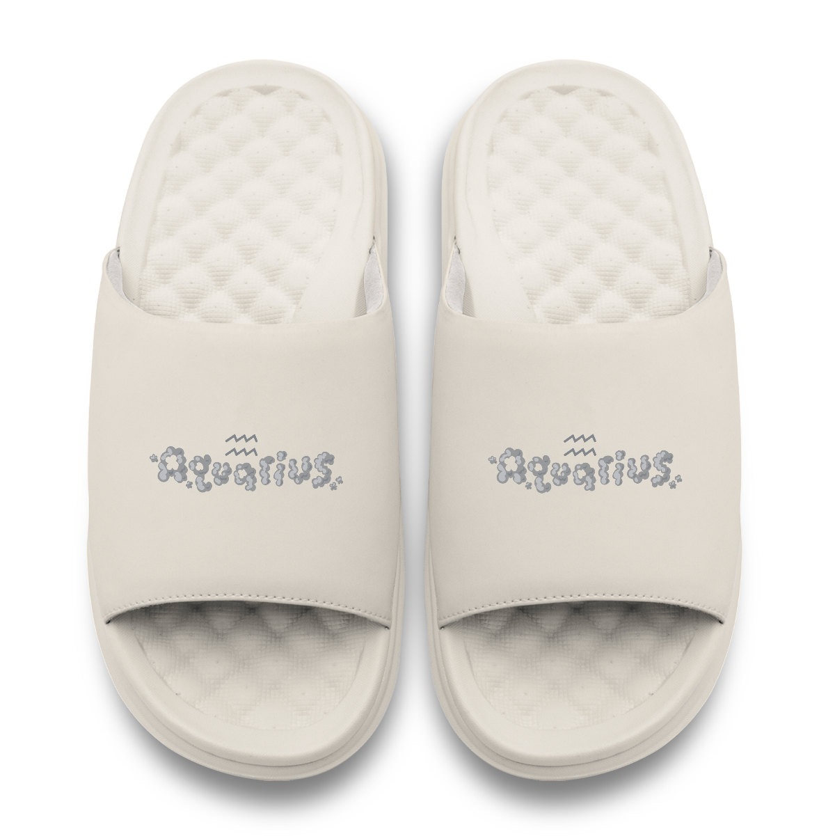 Aquarius Zodiac Slides
