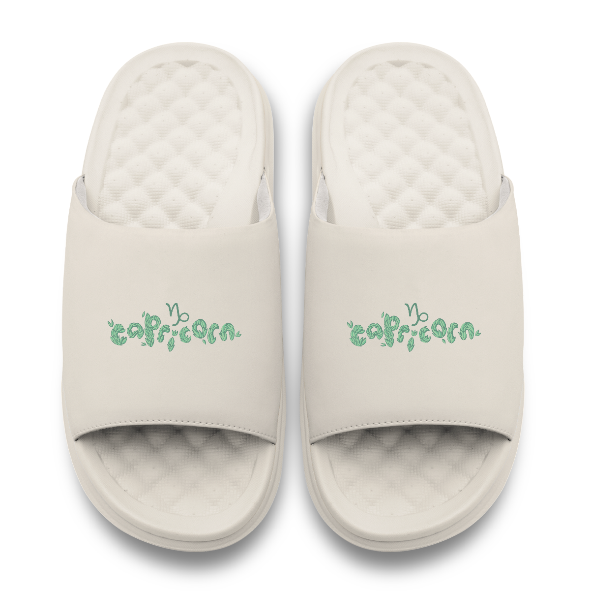 Capricorn Zodiac Slides