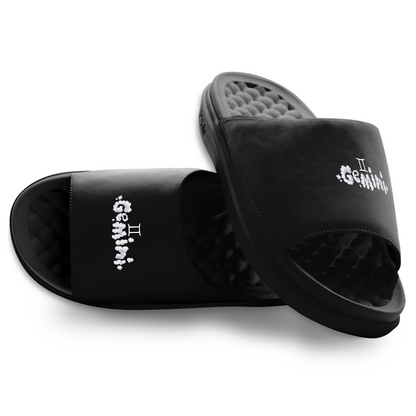Gemini Zodiac Slides