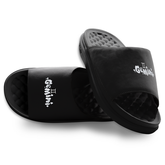 Gemini Zodiac Slides