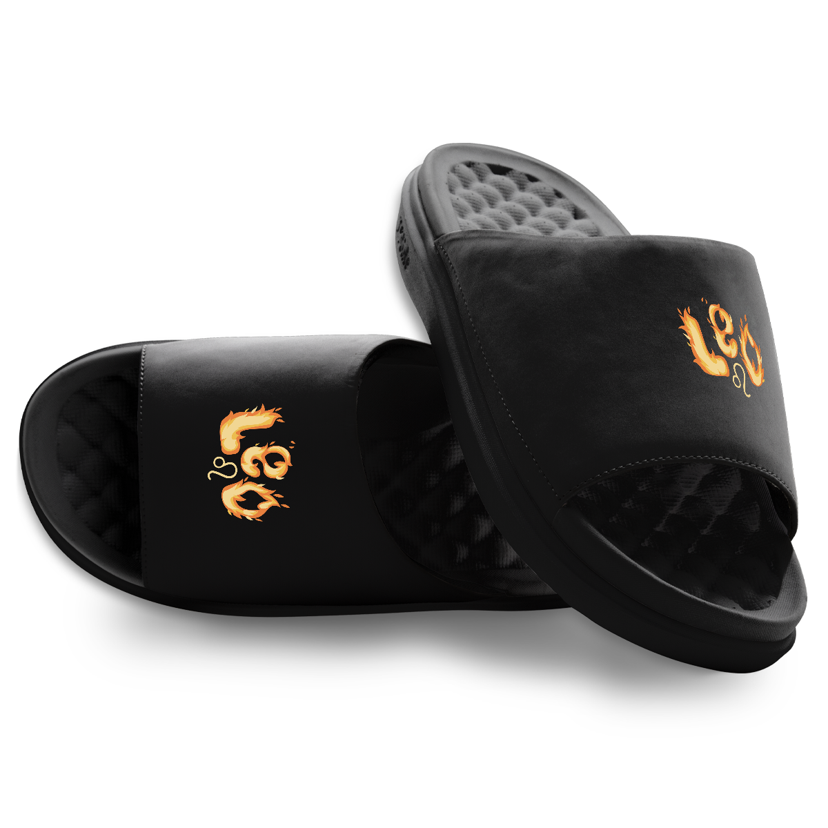 Leo Zodiac Slides