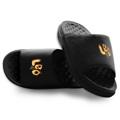 Leo Zodiac Slides