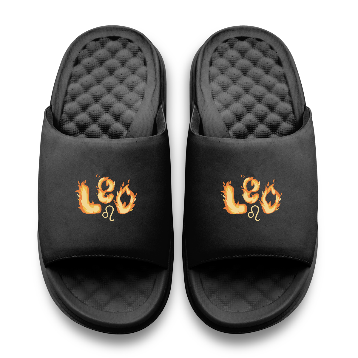Leo Zodiac Slides