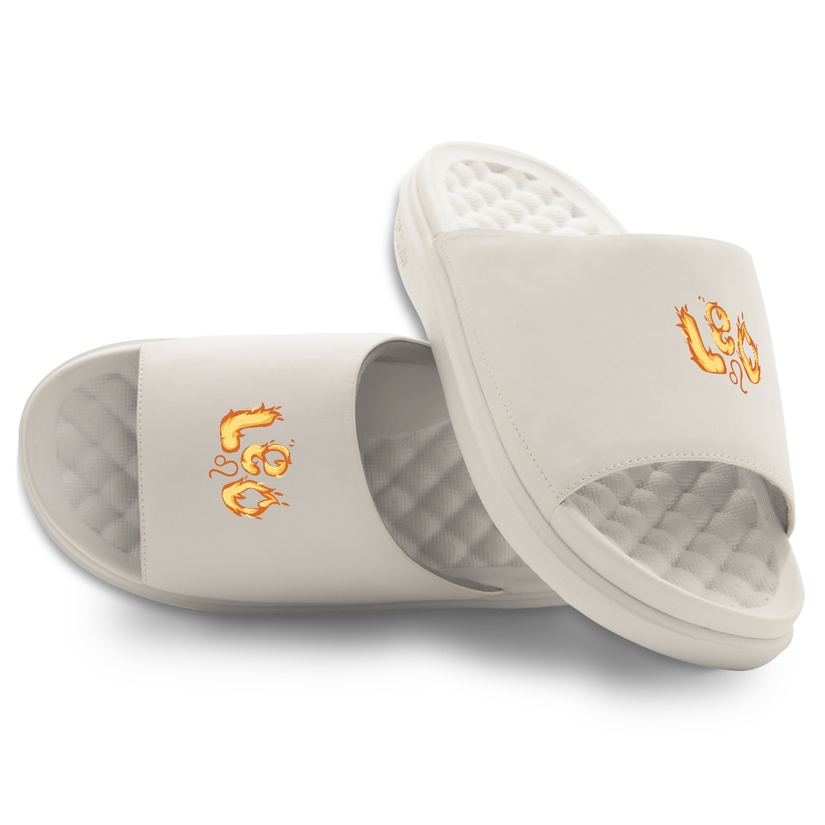 Leo Zodiac Slides