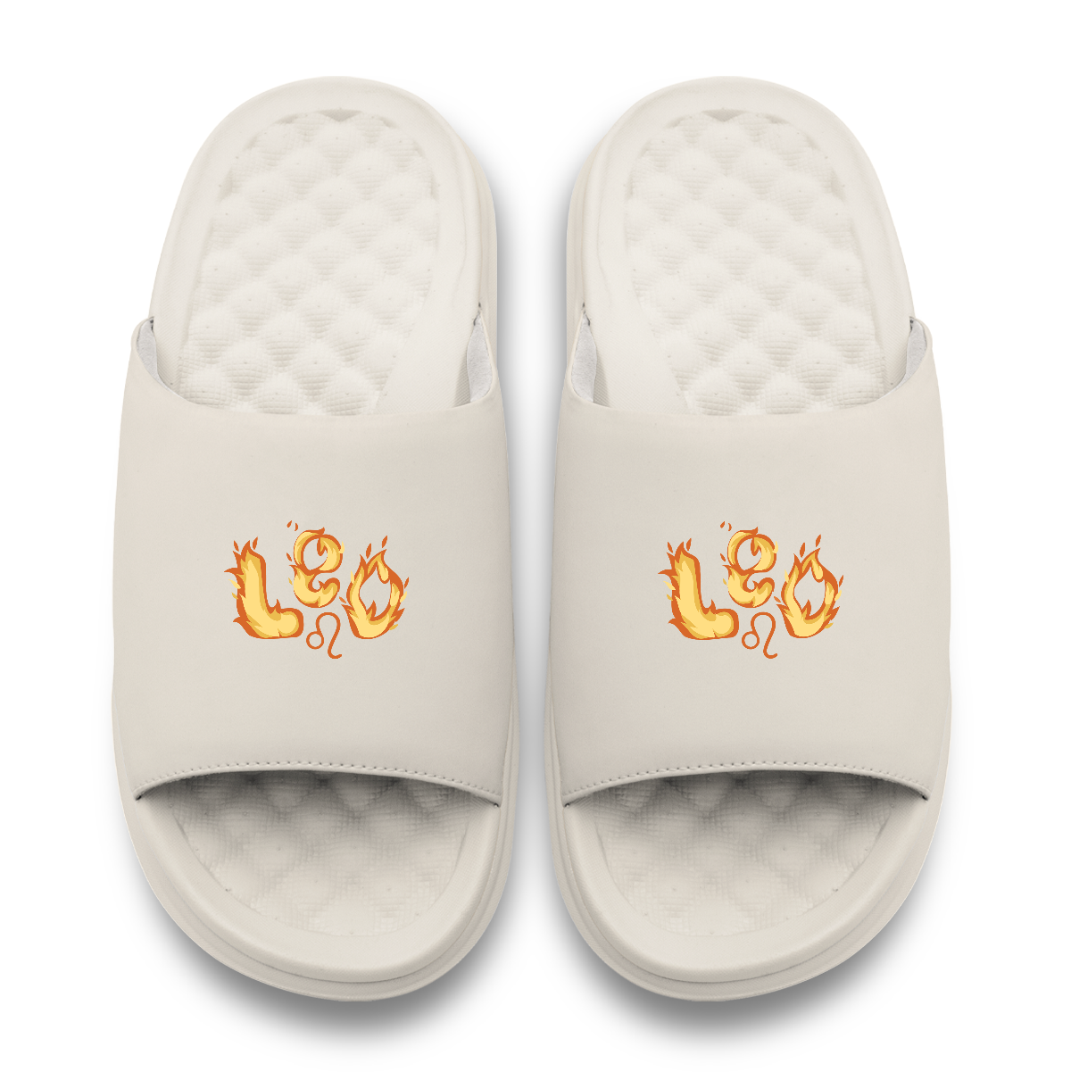 Leo Zodiac Slides