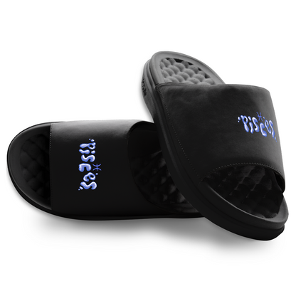 Pisces Zodiac Slides