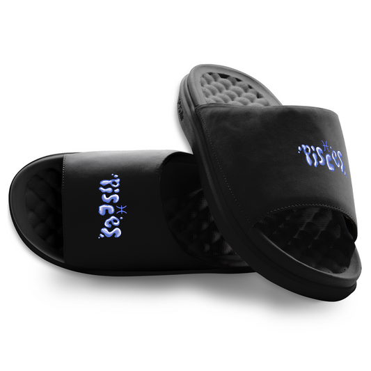 Pisces Zodiac Slides