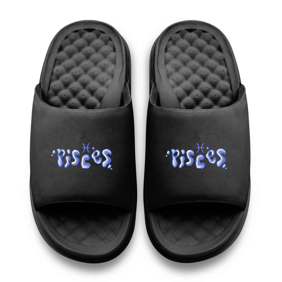 Pisces Zodiac Slides