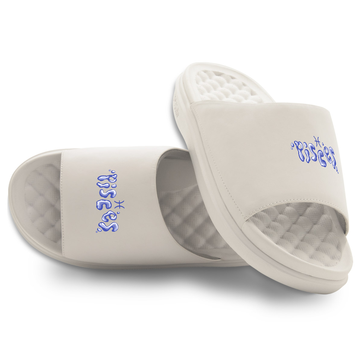 Pisces Zodiac Slides