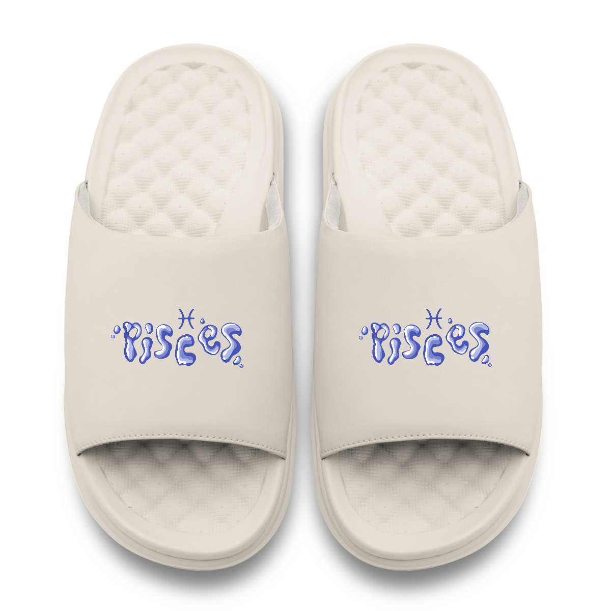 Pisces Zodiac Slides