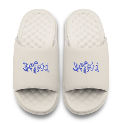 Scorpio Zodiac Slides