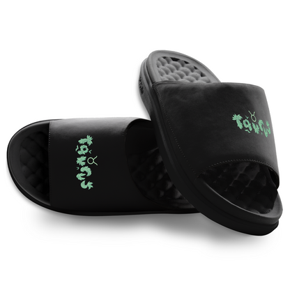 Taurus Zodiac Slides