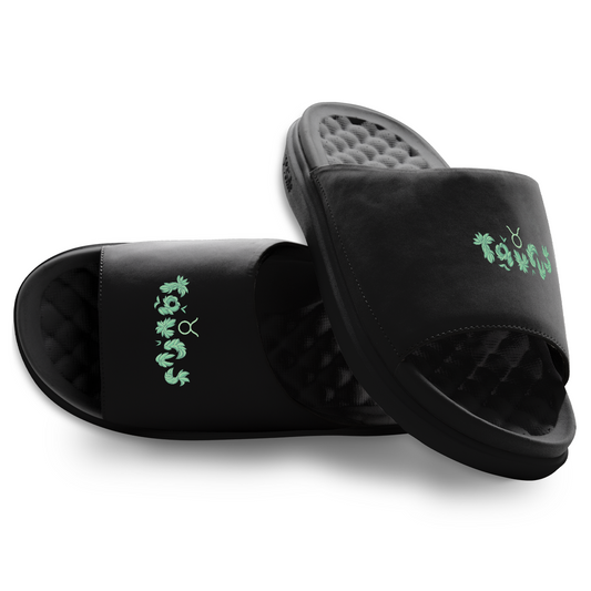 Taurus Zodiac Slides