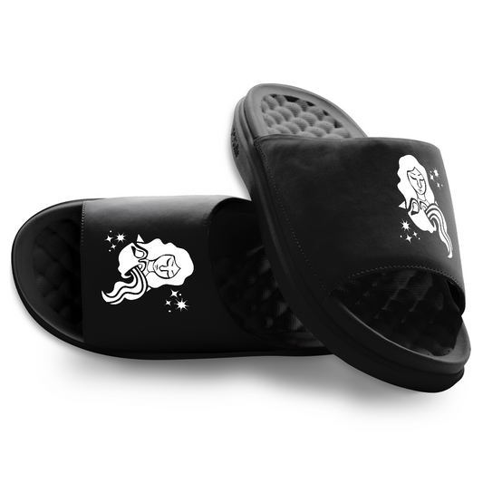 Aquarius Zodiac Slides