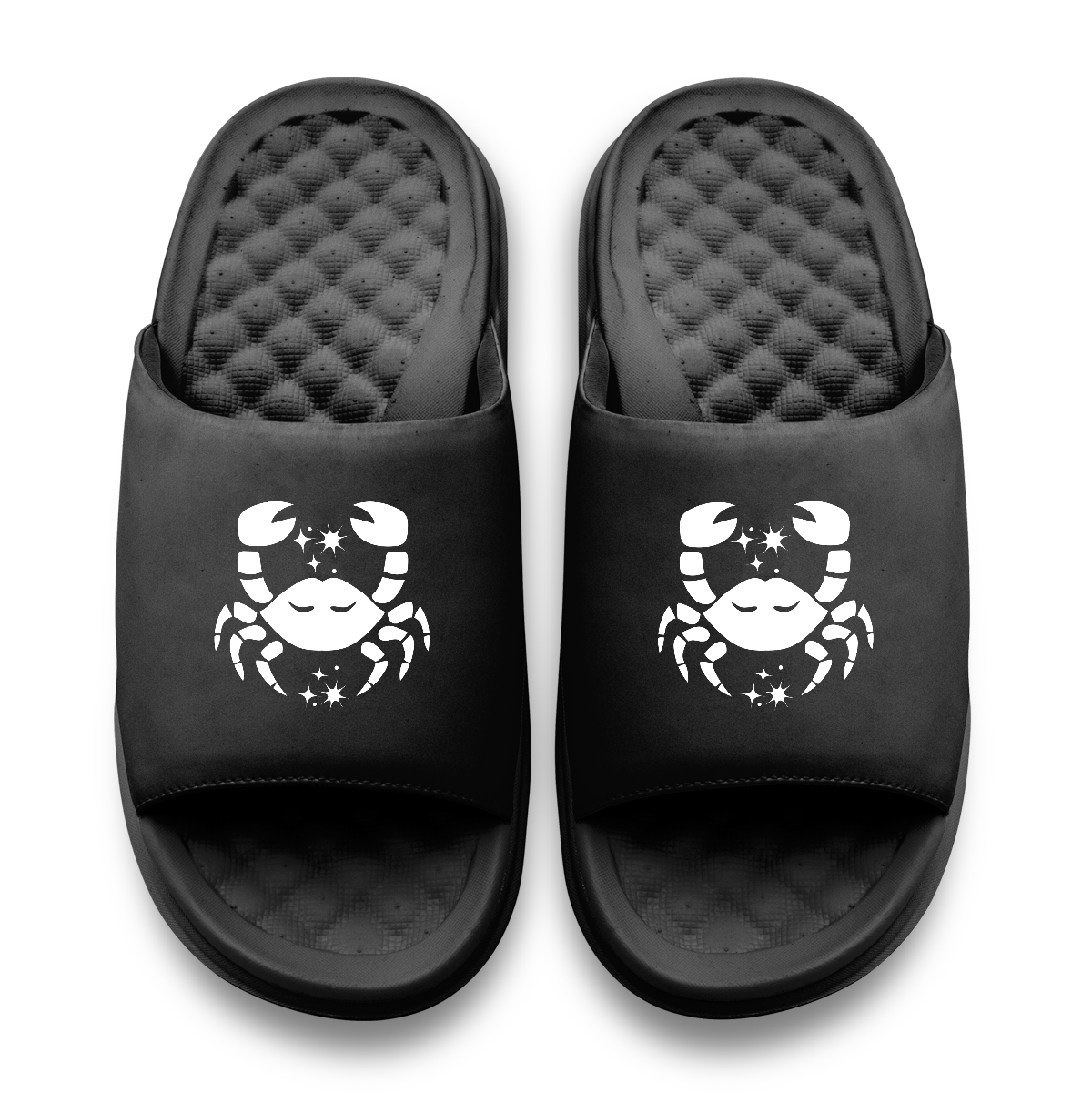 Cancer Zodiac Slides