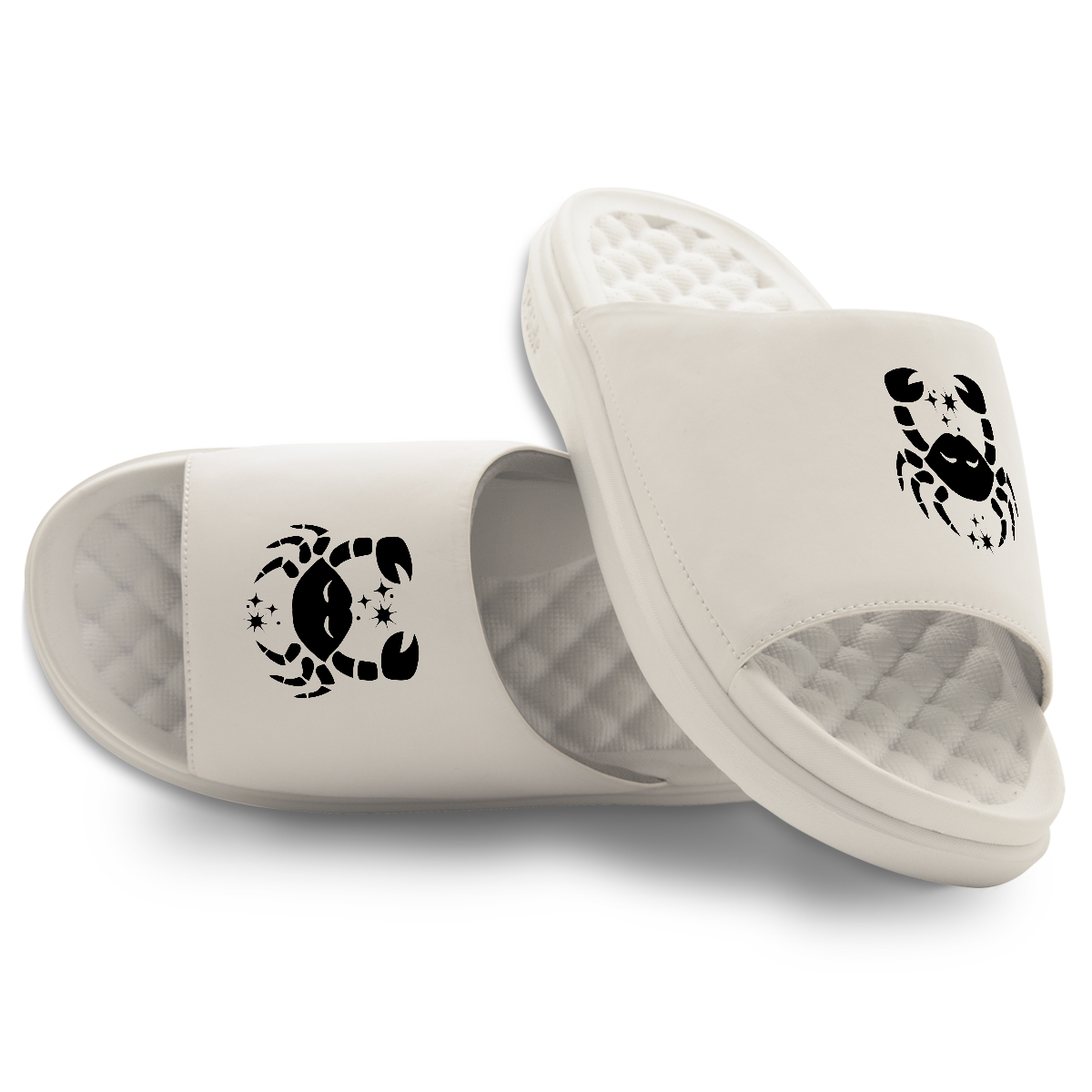 Cancer Zodiac Slides