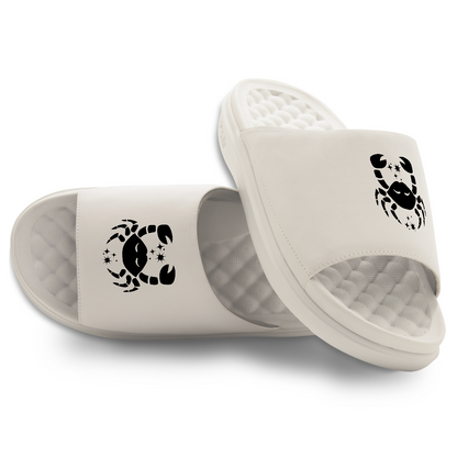 Cancer Zodiac Slides