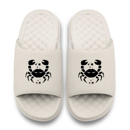 Cancer Zodiac Slides