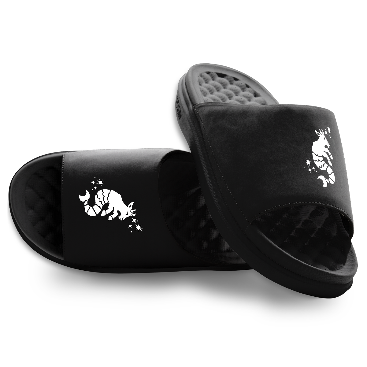 Capricorn Zodiac Slides