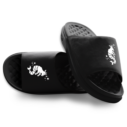 Capricorn Zodiac Slides