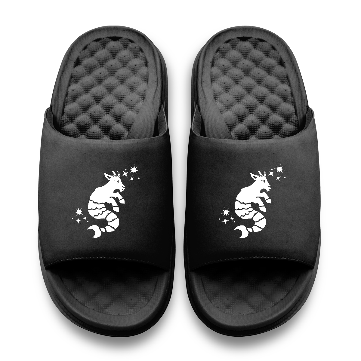 Capricorn Zodiac Slides